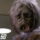 Illustration for article titled Whats Your Favorite Thing About iStar Trek/i?